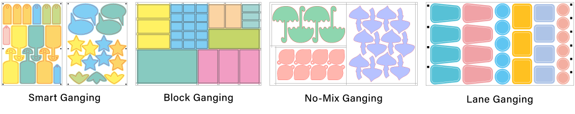 Team InSoft takes a bow as we celebrate 15 years of thriving innovation